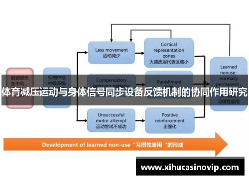体育减压运动与身体信号同步设备反馈机制的协同作用研究