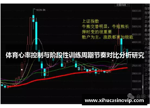 体育心率控制与阶段性训练周期节奏对比分析研究