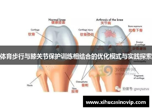 体育步行与膝关节保护训练相结合的优化模式与实践探索
